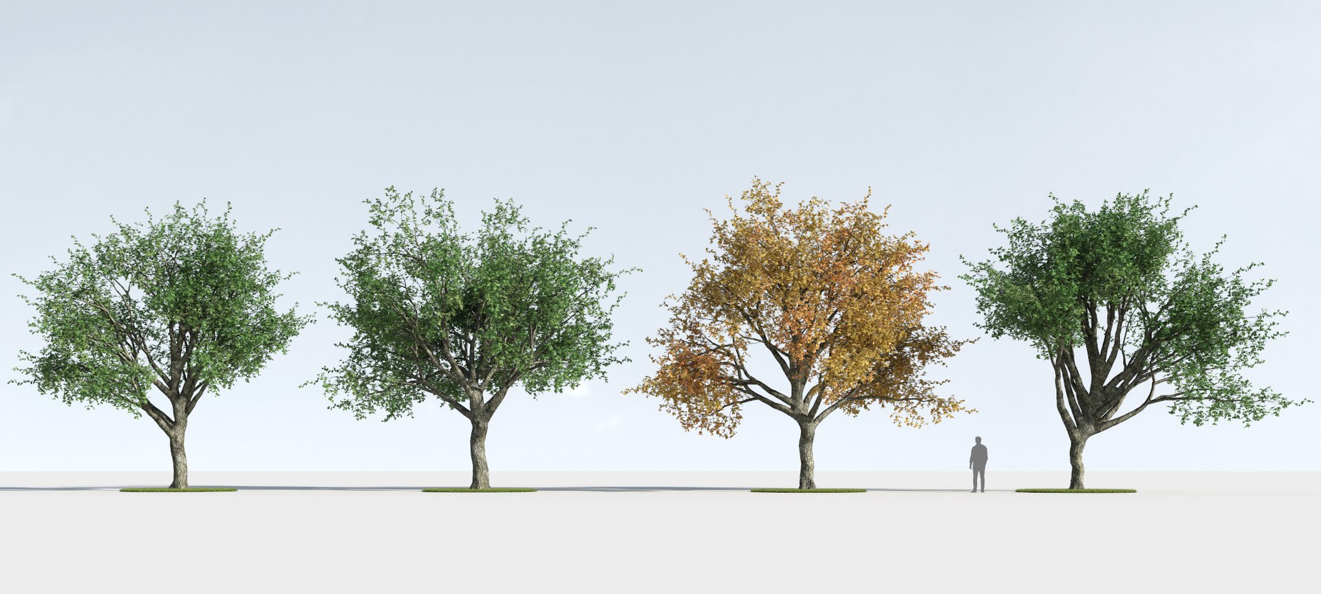 3D trees 9 model https://p.turbosquid.com/ts-thumb/ey/HCWfpw/oNVDhxeV/three_season_trees_9_09b/jpg/1543046371/1920x1080/fit_q87/9c8e373e510d6841f6cf22462b7435e0f47f6acf/three_season_trees_9_09b.jpg