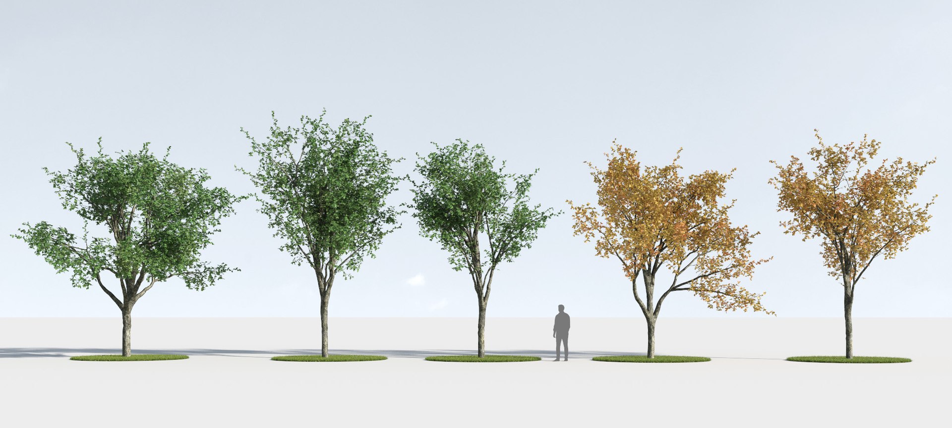 3D trees 9 model https://p.turbosquid.com/ts-thumb/ey/HCWfpw/xVIFZpuX/three_season_trees_9_10b/jpg/1543046396/1920x1080/fit_q87/d0a2366edc2d57e28547a5850fdf8a49332e259f/three_season_trees_9_10b.jpg