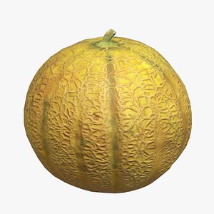 3D Melon Fruit Low Poly model