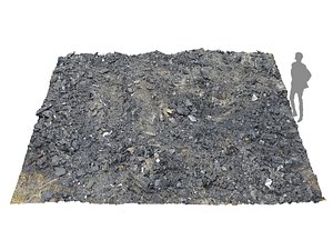 3D burned ground rubble model