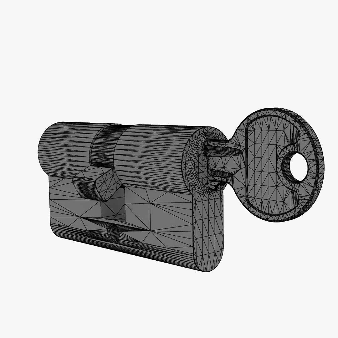 3d Mortise Lock Cylinder