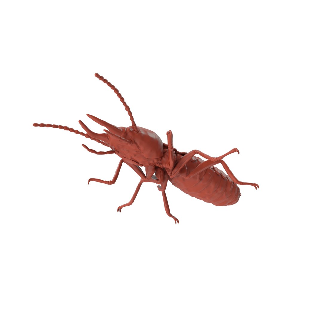 Termite For 3D Print 3D Model - TurboSquid 2349734