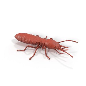 Termite for 3D Print 3D model