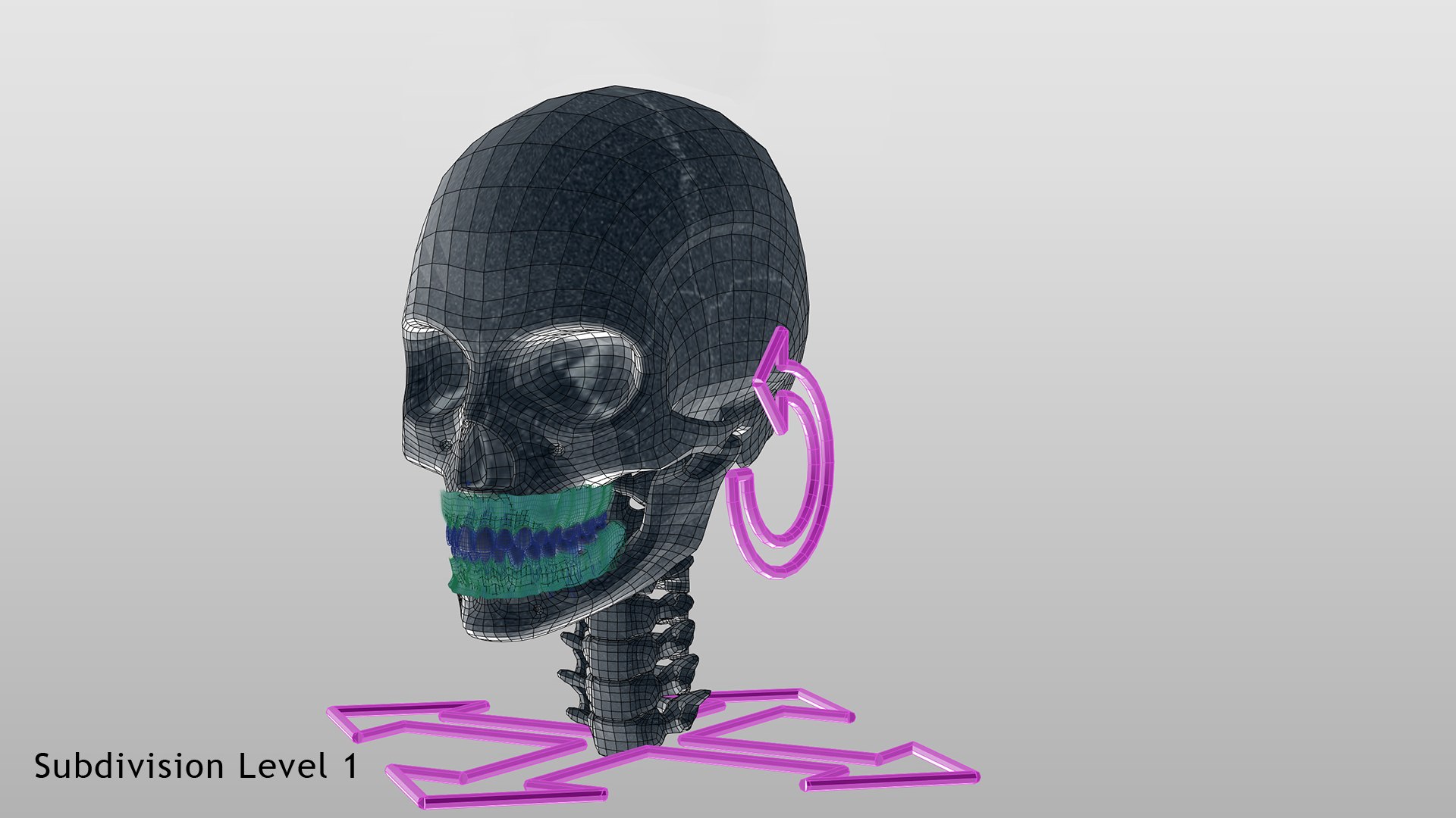 3D model skull v-ray bones anatomy https://p.turbosquid.com/ts-thumb/ey/gKv1i4/Ln/skullgumswire2b/jpg/1666645638/1920x1080/fit_q87/bffbdc9cd81483b1d6ab95d3a0ae6031da126cc8/skullgumswire2b.jpg