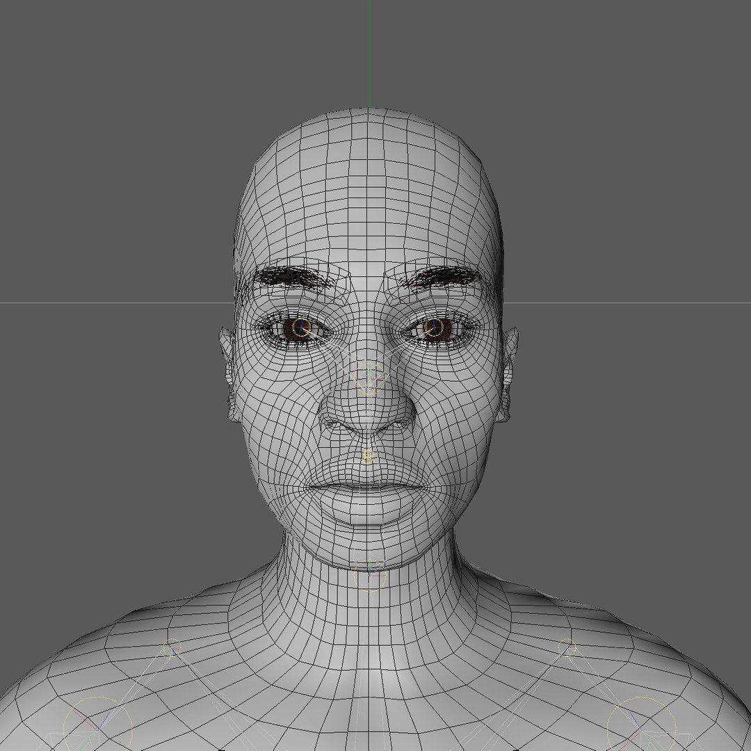 3d Base Mesh 24 Year