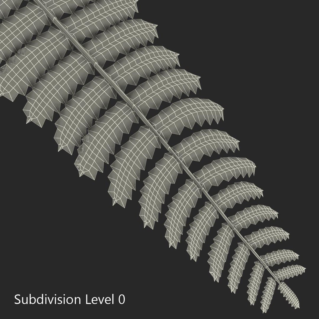 3dsmax Fern 3