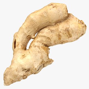 ginger root 05 3D model