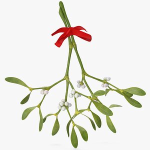 Mistletoe with Red Bow 2