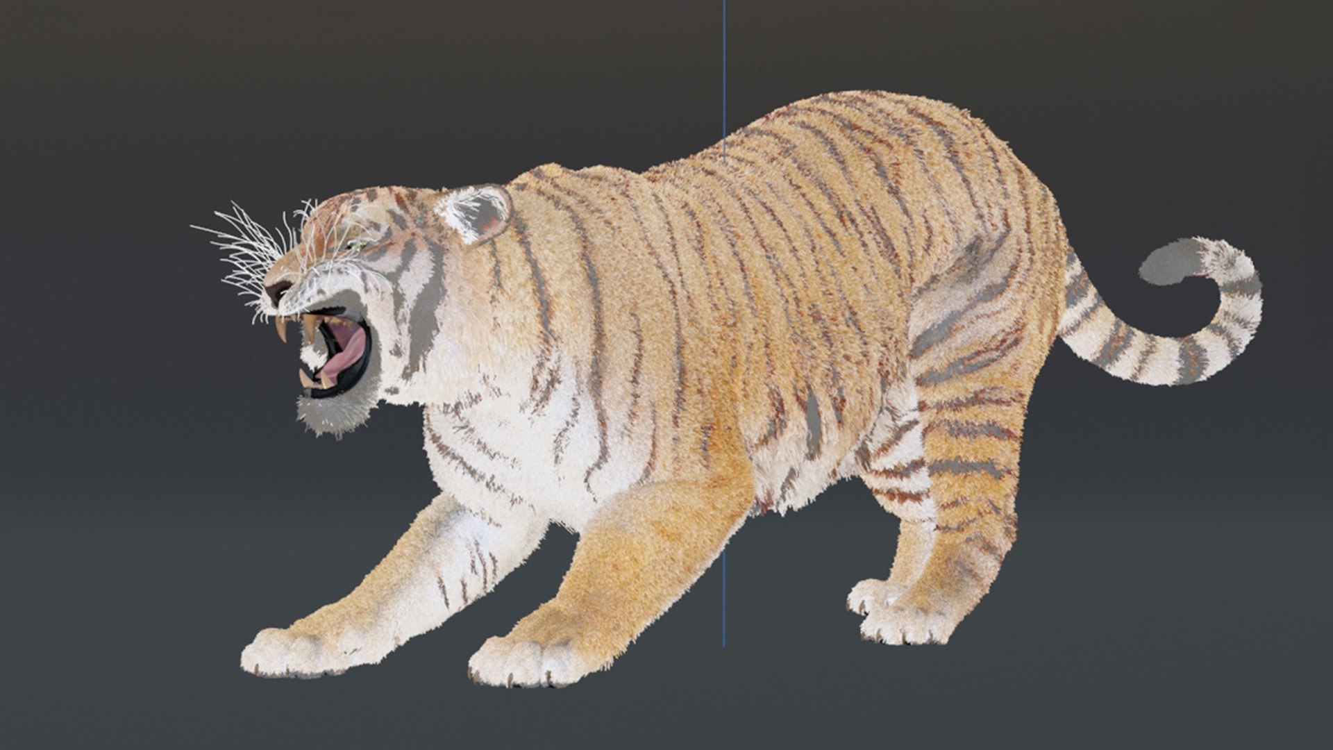 Rigged Siberian Tiger With Animation 3D - TurboSquid 2423313