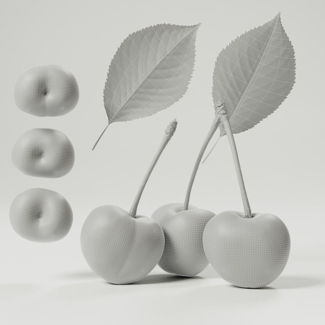 Cherry 3D model https://p.turbosquid.com/ts-thumb/ez/cLPZQ1/6o/cherry_wireframe_0001/jpg/1686561246/1920x1080/fit_q87/0d7167a6446e1e0195cd2a4c0218dc5914a0b89e/cherry_wireframe_0001.jpg