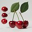 Cerise