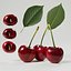 Cerise