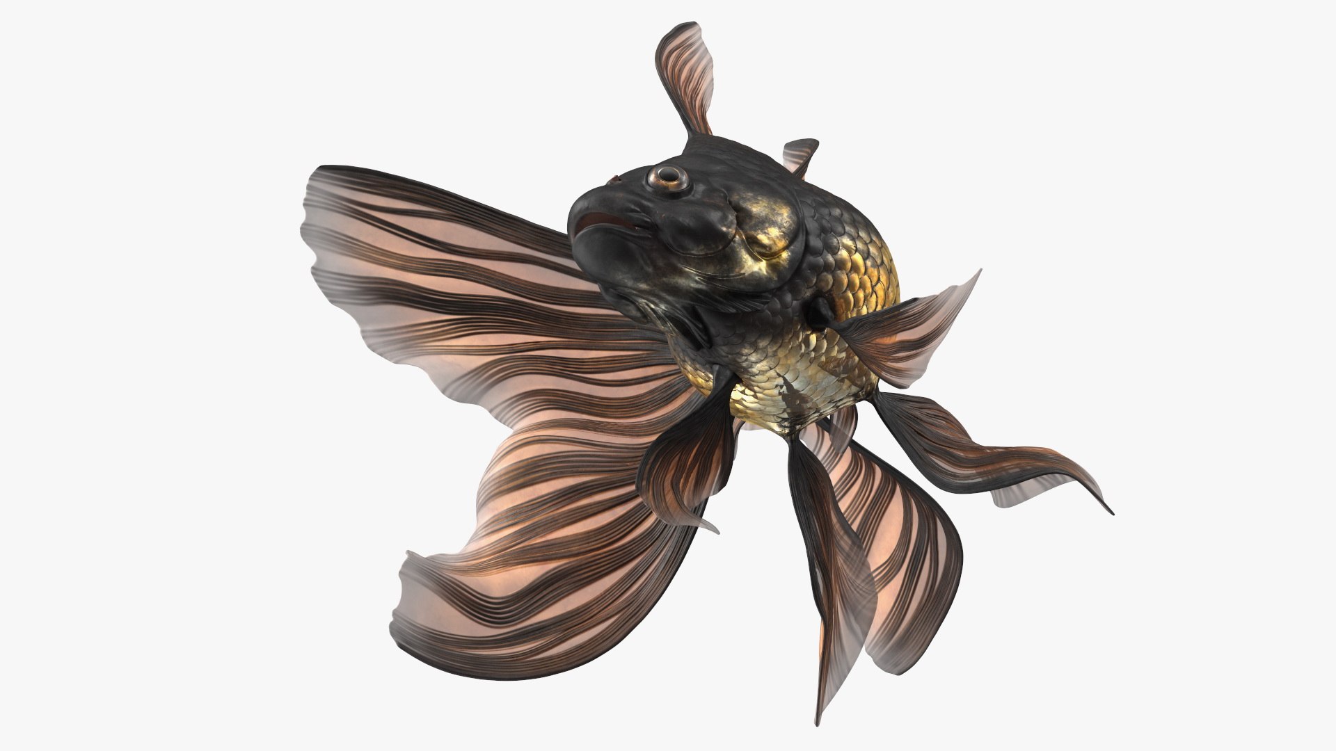 3D model Black Moor Goldfish Swim https://p.turbosquid.com/ts-thumb/ez/gOlvb6/8c/blackmoorgoldfishswim3dsmodel014/jpg/1627079152/1920x1080/fit_q87/922b94ae34badfb02829bfdd3df7ca911bedfe45/blackmoorgoldfishswim3dsmodel014.jpg