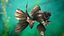 Black Moor Goldfish Swim