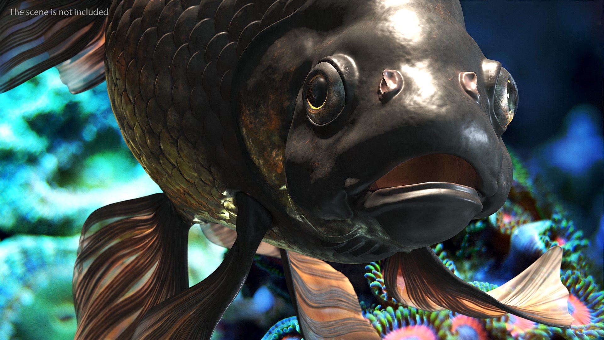 3D model Black Moor Goldfish Swim https://p.turbosquid.com/ts-thumb/ez/gOlvb6/En/blackmoorgoldfishswim3dsmodel007/jpg/1627079135/1920x1080/fit_q87/b07c7e3ea57bce30c1b18862ce3f5533597915be/blackmoorgoldfishswim3dsmodel007.jpg