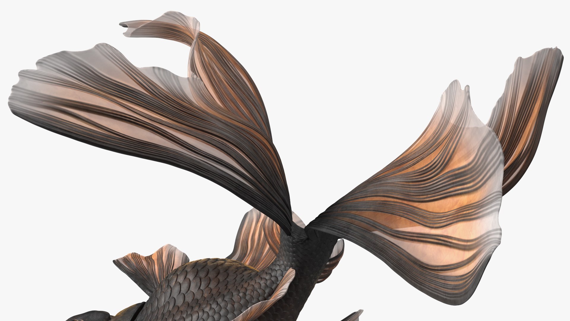 3D model Black Moor Goldfish Swim https://p.turbosquid.com/ts-thumb/ez/gOlvb6/m8/blackmoorgoldfishswim3dsmodel020/jpg/1627079165/1920x1080/fit_q87/bd2c7c1cb41760609a2ff7ddd54c3c491158dfba/blackmoorgoldfishswim3dsmodel020.jpg