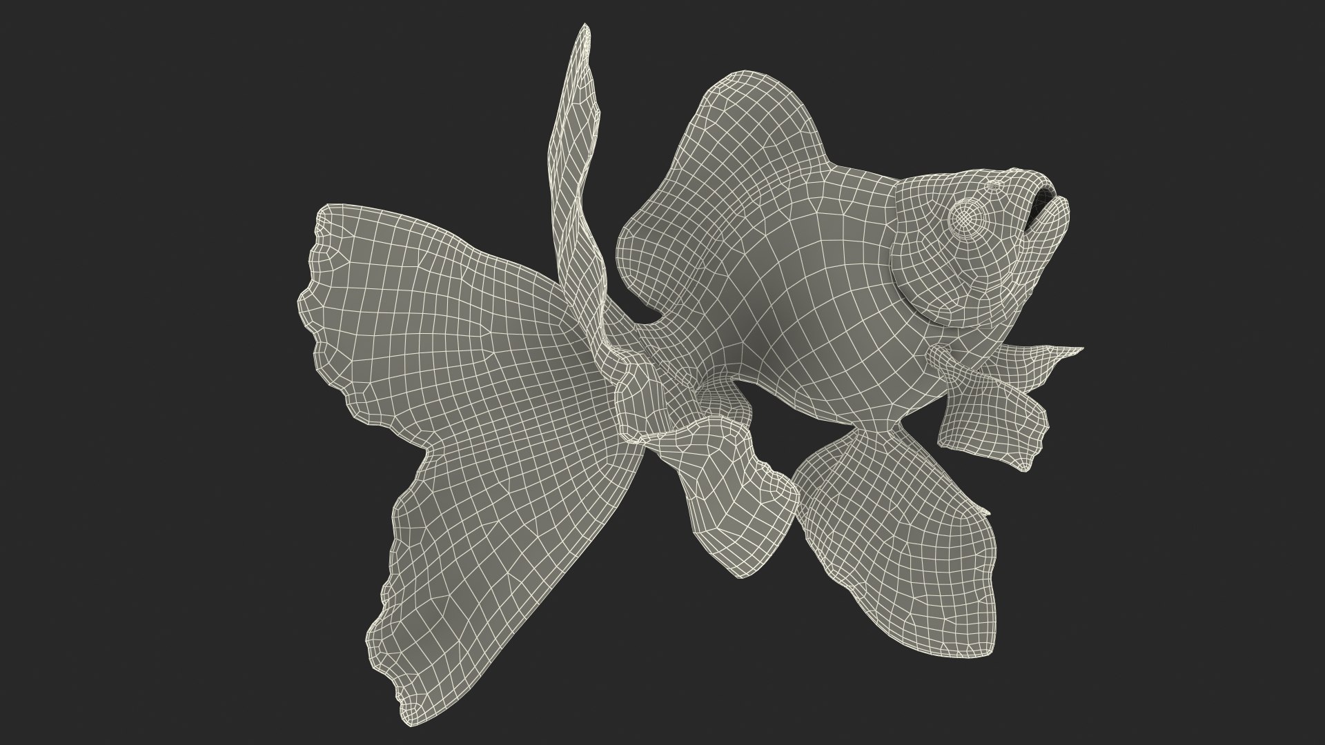 3D model Black Moor Goldfish Swim https://p.turbosquid.com/ts-thumb/ez/gOlvb6/qp/blackmoorgoldfishswim3dsmodel032/jpg/1627079195/1920x1080/fit_q87/d566201e6ebe523ebf613c52f0e0af63955a017d/blackmoorgoldfishswim3dsmodel032.jpg