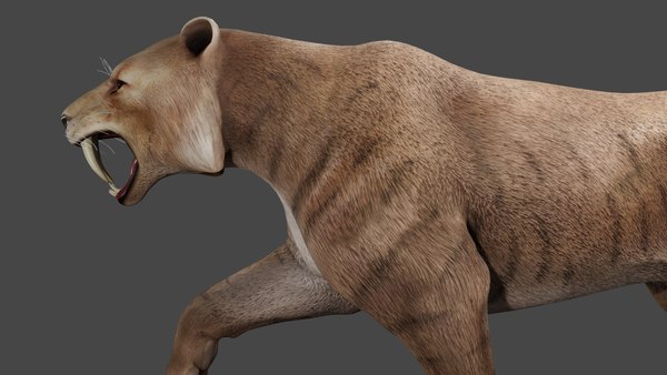 Realistic Sabre-Toothed Cat Tiger 3D model - TurboSquid 1989197