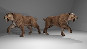 Realistic Sabre-Toothed Cat Tiger 3D model