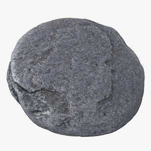 Sea Shore Stone 22 3D