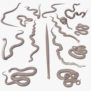 Eastern Brown Snake - Static Poses 3D model