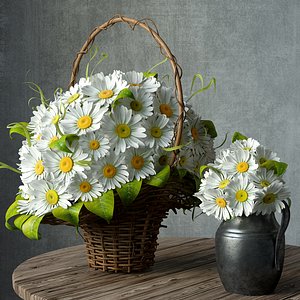 3D model chamomile