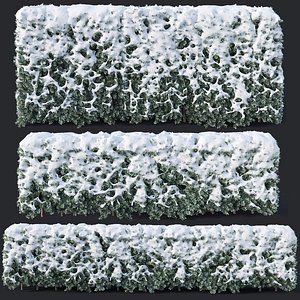 80 120 cm hedges 3D