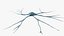 Neuron