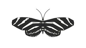 black butterfly model