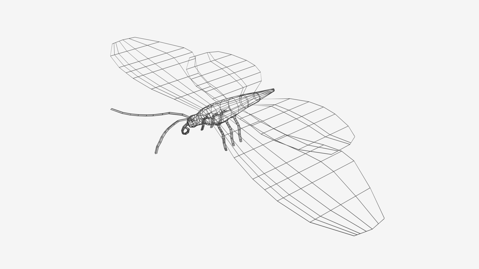 black butterfly model https://p.turbosquid.com/ts-thumb/f0/Yi87g4/Zv3CsTqQ/blackbutterfly09wire/png/1570346834/1920x1080/fit_q87/27d0862983d58469b7be44445f5e85d5a54d6932/blackbutterfly09wire.jpg