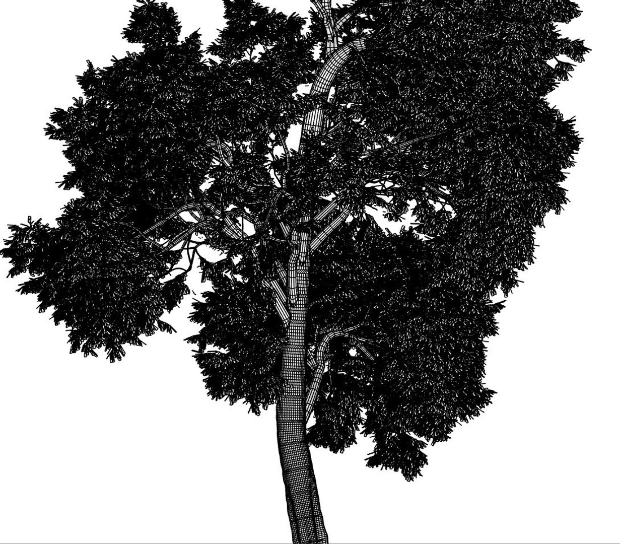 broadleaf tree 003 3D model https://p.turbosquid.com/ts-thumb/f0/b3cKZY/FW0em3wU/broadleaf_003_image_007/jpg/1603706650/1920x1080/fit_q87/89ae935123aea079328bedb8d4620aa039427406/broadleaf_003_image_007.jpg