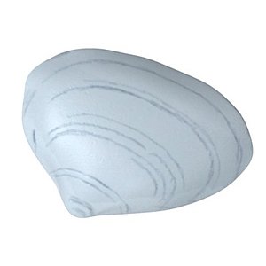 sea shell 3d model