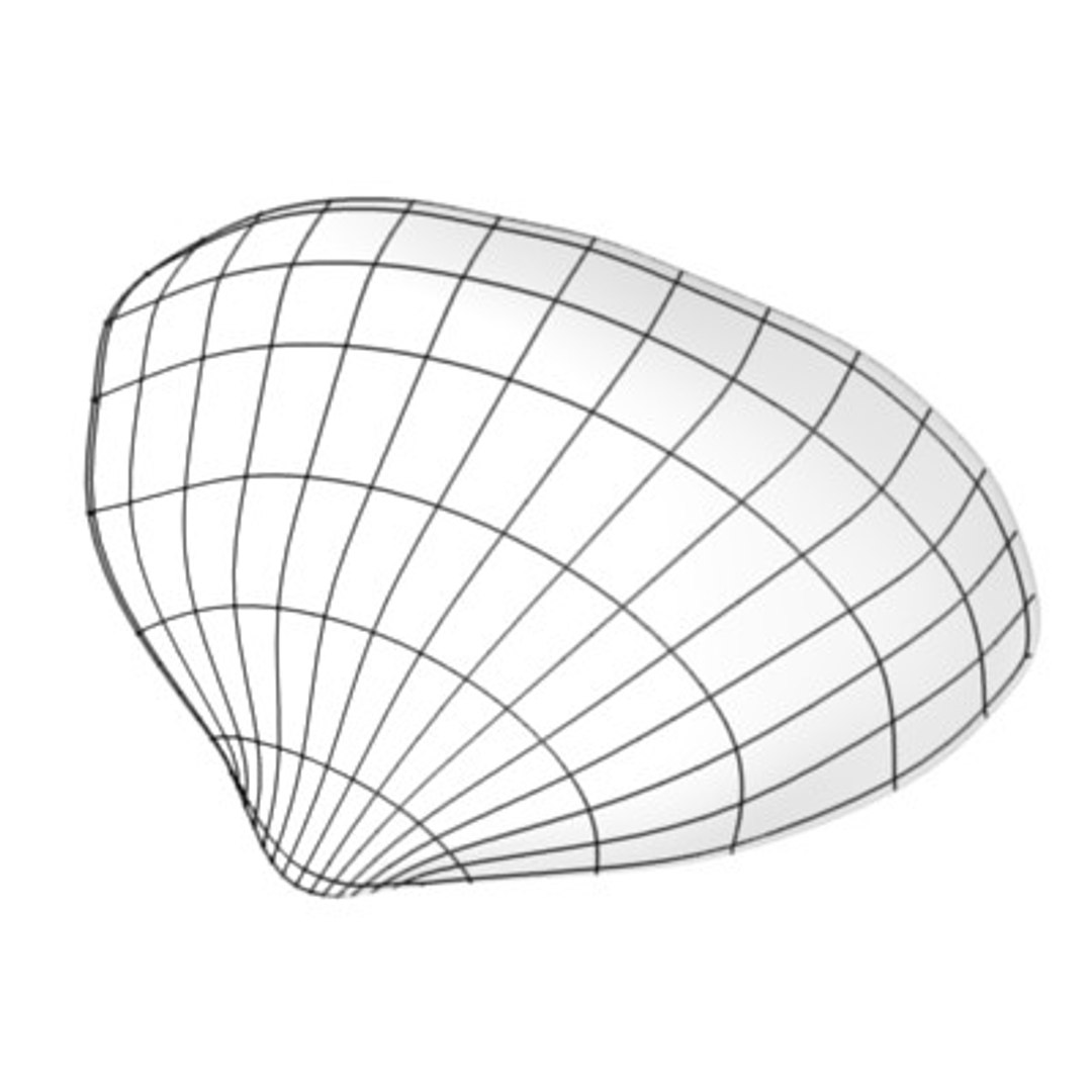 Sea Shell 3d Model