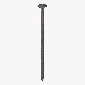 Framing Nails Old 3D model