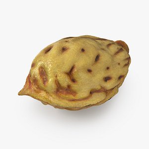 Peach Seed
