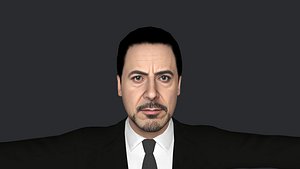 Robert Downey Jr Hyper Realistic Full Body Fully Rigged Character 3D model