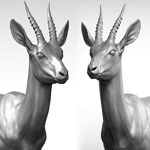 3D gazelle antelope gazella model