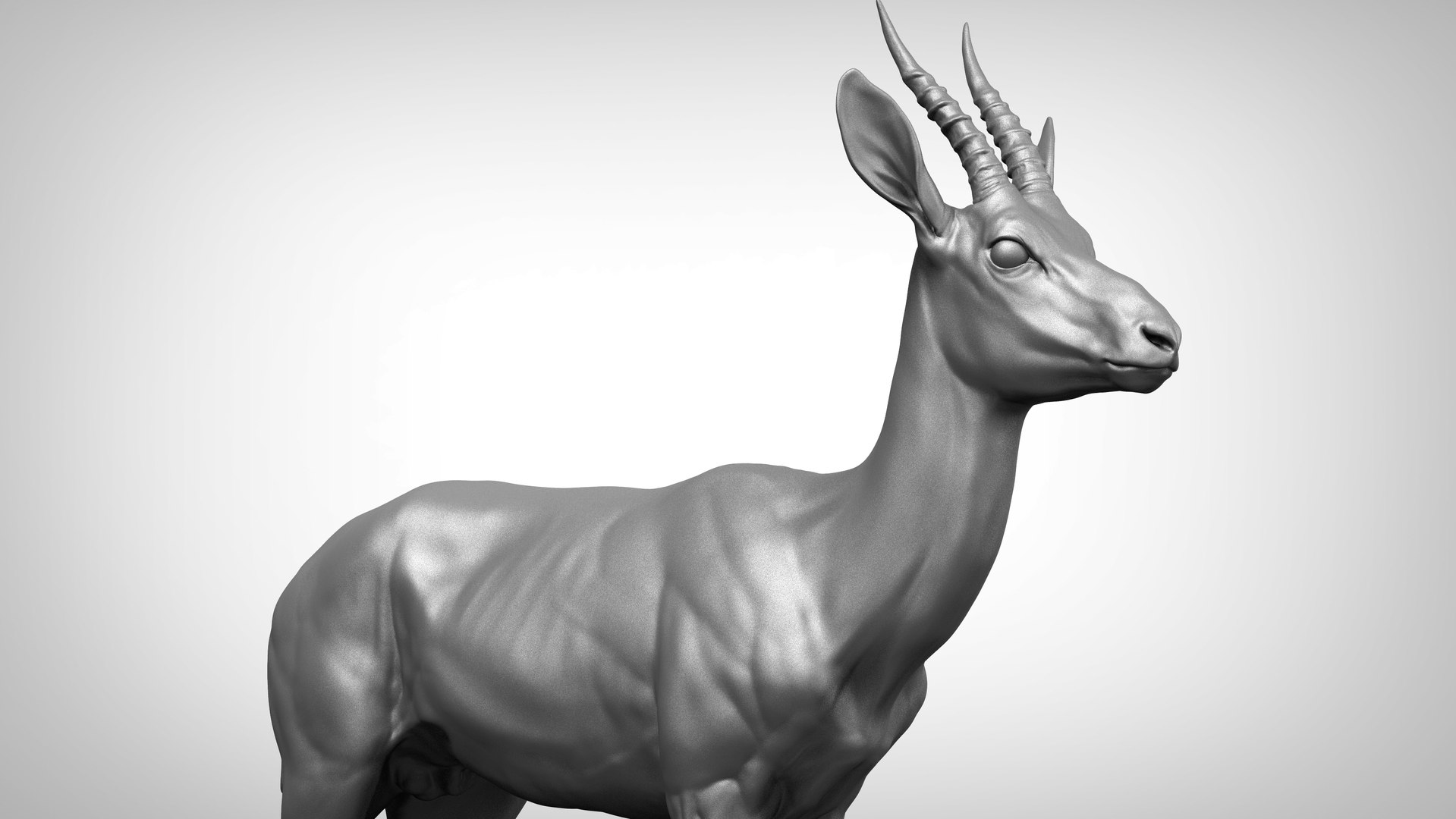 3D gazelle antelope gazella model - TurboSquid 1434976