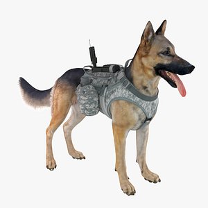 military dog 3 3d max