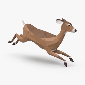 Doe Running