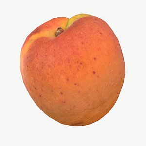 3D model 07 apricot fruit modeled