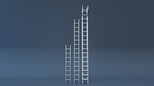 Ladder 3D