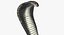 Cobra Bite