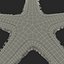 3dsmax royal starfish astropecten articulatus