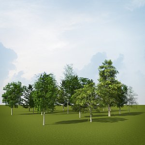 Tree Forest