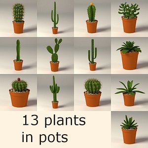 cactuses suculents 3d c4d