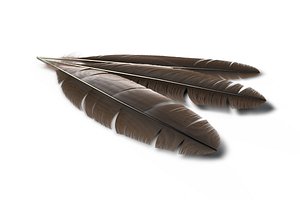 cinema4d feather