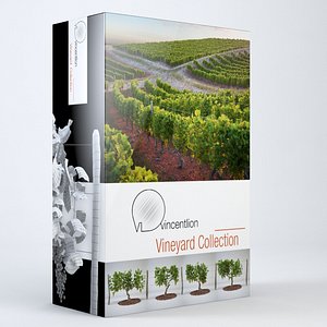 Vineyard Collection