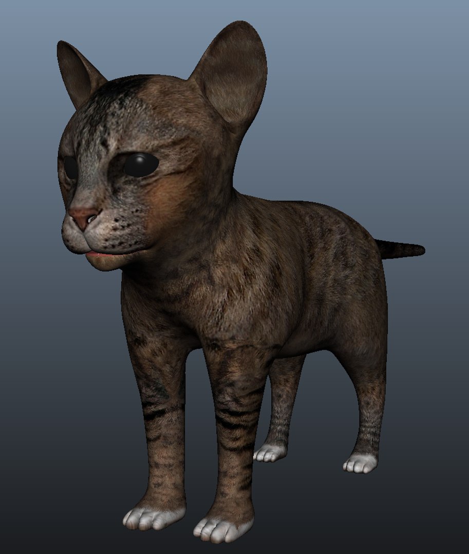 kitten model https://p.turbosquid.com/ts-thumb/f1/s0CLoR/F9FNIjla/kitten_p/png/1553687669/1920x1080/fit_q87/92901f07dac5ac22b9ccf9ffce87aea351c17070/kitten_p.jpg