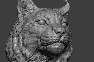 Lynx head